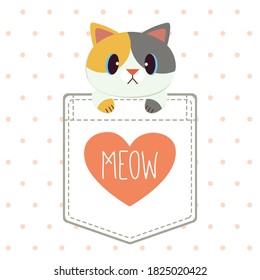 The character of cute cat in the pocket of shirt in flat vector style. illustation about cat for banner, greeting card,content,grahic.