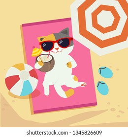 The character of cute cat sunbathe on the beach. Illustration about summer
for background, graphic,content , banner, sticker label and greeting card.