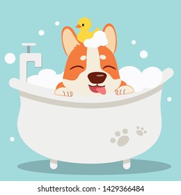 The character cute corgi dog taking a bath with bathtub in flat vector style.Illustration about pet grooming and healthcare for graphic,content , banner, sticker label and greeting card.