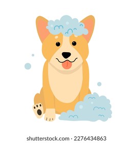 The character cute corgi dog taking a bath  in flat vector style.Illustration about pet grooming and healthcare for graphic content, banner, sticker label and greeting card. Vet