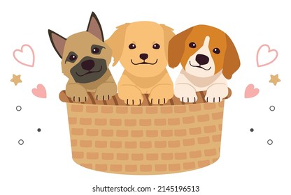 The character cute dog sitting in the big basket in flat vector style. Illustration for background, graphic, content, banner, sticker label and greeting card.