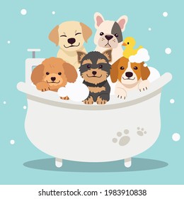 The character of cute dog with tube and text of bath time in flat vector style. illustation about dog grooming and healthcare for graphic , content, greeting card.