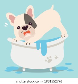 The character of cute fran bull dog on the tube with flat vector style. illustation about dog grooming and healthcare for content , greeting card, postcard.