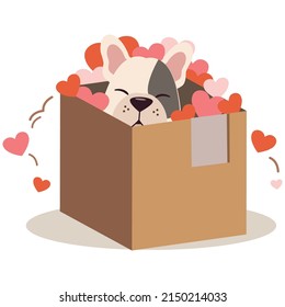 Carácter de bulldog francés lindo con caja y corazón al estilo vectorial plano. Ilustración sobre mascotas y animales.