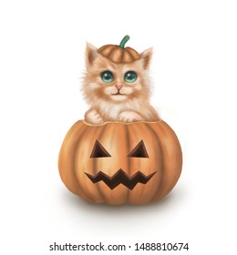 The character of cute ginger cat sitting big pumpkin 