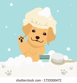 The character of cute golden retriever wear a shower cap with a lot the bubble ,brush,soap in flat vector style. illustation about pet grooming
for graphic,content , banner, label and greeting card.