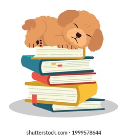 The character of cute poodle dog on pile of book in flat vector style. illustation about education and study for content,graphic.