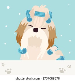 The character of cute shih tzu dog with hair curler in flat vector style. illustation about pet grooming for graphic,content , banner, sticker label and greeting card.
