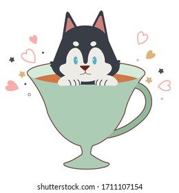 The character of cute siberian husky dog in the teacup.illustion cartoon cute dog in flat vector style.