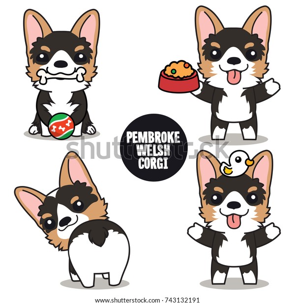 Character Design Black Pembroke Welsh Corgi Stock Image Download Now