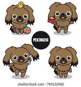 Character design of brown Pekingese , Cute dog difference poses isolated on white background , Jpg included Clipping Path