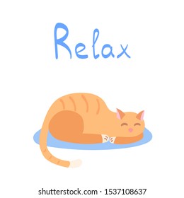 Character design - happy cute orange cat sleeping on pastel blue color rug. Hand drawn doodle style with Relax lettering. Flat vector illustration adorable cartoon style isolated on white background.