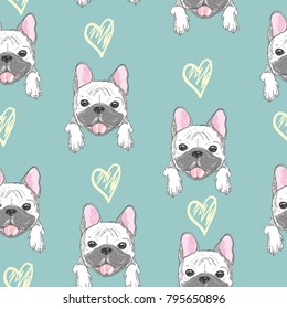 Character design pattern background of head bulldog.Doodle style on green blue.