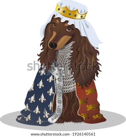 Character dog long-haired dachshund in a templar costume in a cloak with a silver belt. Vector isolated image

