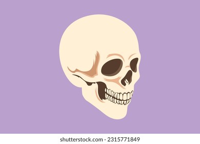 Character flat drawing graphical head skulls symbol, isolated on blue background. Anatomy face for medical education at school. Engraved human skull with closed jaw. Cartoon design vector illustration