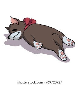 Character, funny dog. Puppy sleeps on belly