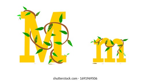 Character graphic M,m. winding vine wrapped around.