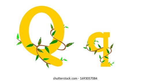 Character graphic Q,q. winding vine wrapped around.
