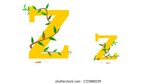 Character graphic Z,z. winding vine wrapped around.