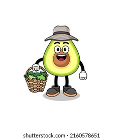 Character Illustration of avocado as a herbalist , character design