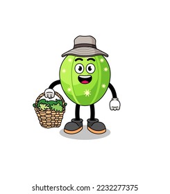 Character Illustration of cactus as a herbalist , character design