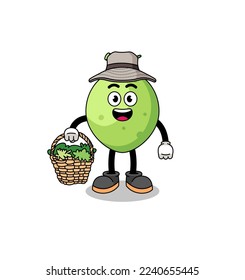 Character Illustration of coconut as a herbalist , character design