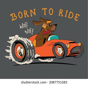 character illustration of a racer bear driving a race car to print a t-shirt