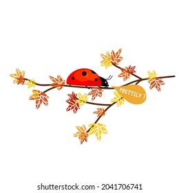 character illustration talking ladybug on autumn branch