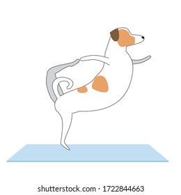 Character Jack Russell Terrier practices yoga as a concept of spiritual and physical health. Cartoon flat or linear vector stock vector healthy dog ​​doing yoga asanas isolated on white background