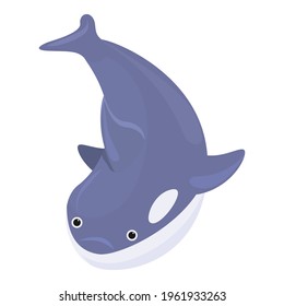 Character killer whale icon. Cartoon of Character killer whale vector icon for web design isolated on white background