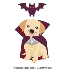 The character of Labrador retriever dog with vampire or Dracula costume for Halloween theme set. Graphic resource about dog pet animal and Halloween theme for content, banner, greeting card