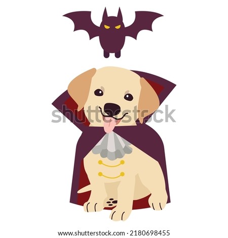 The character of Labrador retriever dog with vampire or Dracula costume for Halloween theme set. Graphic resource about dog pet animal and Halloween theme for content, banner, greeting card