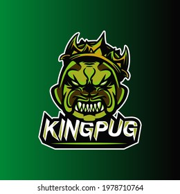 character mascot logo design vector with modern illustration concept style for badge, emblem and tshirt printing. illustration for sport team.