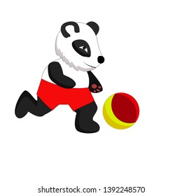 character panda football player isolated image