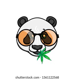Character Panda in fun round glasses with leaf weed. Vector illustration isolated on white background