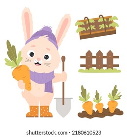 Character rabbit farmer with carrots. Farming set with cute bunny in rubber boots, hat and scarf with shovel. Greenhouse with seedlings, wooden fence and bed of earth with carrots. Vector illustration