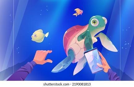 Character record video of turtle swimming in aquarium with fishes. Visitor in oceanarium with sea animals, cute tortoise reptile swim in blue water behind of glass wall, Cartoon vector illustration