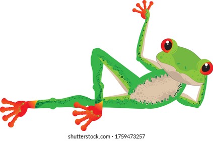The character of a red-eyed frog waving while lying down.
