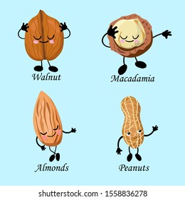 
Character set of peanuts, almonds, macadamia and walnuts. Vegan food.