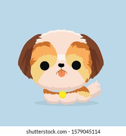character shih tzu dog on pastel background.
