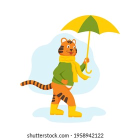 The character tiger cub walks through puddles in rubber boots with an umbrella. September, the beginning of autumn, the symbol of the year. Flat cartoon vector illustration.