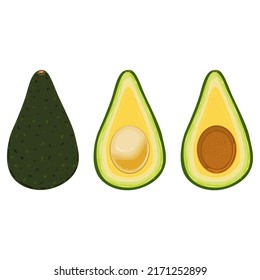 Merkmale von Avocados. Obstkonzept Vektorgrafik.