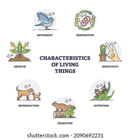 Characteristics of living things or their recognition groups outline diagram. Labeled educational division categories by respiration, sensitivity, excretion, reproduction or growth vector illustration