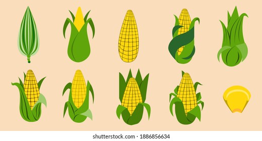 Characteristics of sweet corn hatch in different ways