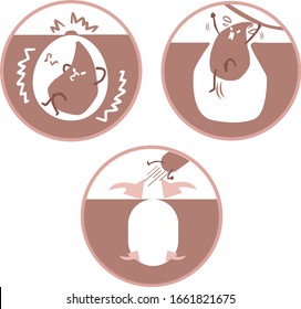 Characterize the sequence in which blackheads fall