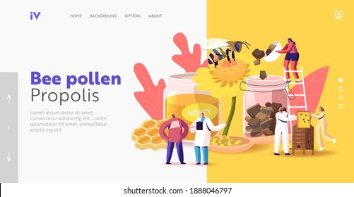 Characters Extracting Apiary Production Honey and Pollen Propolis Landing Page Template. Beekeeper Take Honeycomb. Producing Natural Eco Product on Beekeeping Farm. Cartoon People Vector Illustration