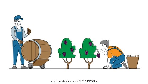 Characters Gathering Grapes on Vineyard Plantation. Viticulture and Winemaking Industry, Farmer Gather Crops, Winemaker Holding Wine Grapes, Harvesting on Vineyard. Linear People Vector Illustration