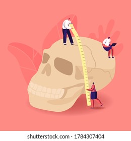 Characters Studying Ancient Anthropology. Tiny People Measuring Huge Human Skull for Neanderthal or Prehistoric Testimonies. Paleolithic Research, Culture Exploration. Cartoon Vector Illustration