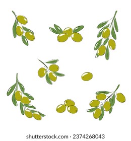 Juego de aceitunas de carbón vegetal, ilustraciones vectoriales de aceitunas de color