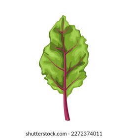 caricatura de hojas frescas de chard. naturaleza orgánica, vegetal verde, sano natural, vegetal, vegetariano alimento, condimento de ingrediente de hoja fresca ilustración vectorial